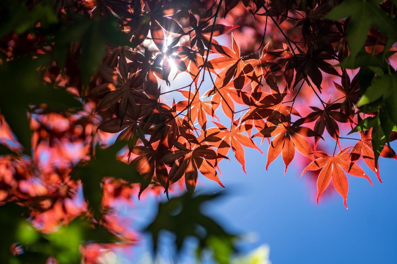 清境英格曼花園民宿 Renai Luaran gambar